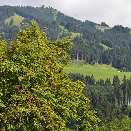 Daire Strasser Angelika